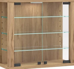 VCM Wandregal »Wandvitrine Hängevitrine Glasvitrine Vitrosa S« 1 Stk. tlg.