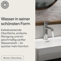 WASSERWERK Waschtischarmatur »WT 11« inkl. Popup, wassersparend
