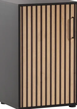 welltime Aktenschrank »Hank, Aktenschrank, Made in Germany, B: 50 cm« Solide Verarbeitung - Dieses Produkt ist in Deutschland gefertigt
