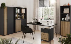 welltime Aktenschrank »Hank, Aktenschrank, Made in Germany, B: 50 cm« Solide Verarbeitung - Dieses Produkt ist in Deutschland gefertigt