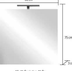 welltime Badspiegel »Neutral« Spiegel mit Beleuchtung LED, Breite 60, Höhe 75 cm