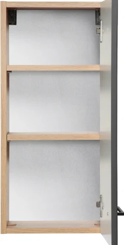 welltime Hängeschrank »Trento, verschiedene Ausführungen und Farben« Badmöbel, Breite 30 cm, 1 Tür, 2 Einlegeböden, Made in Germany