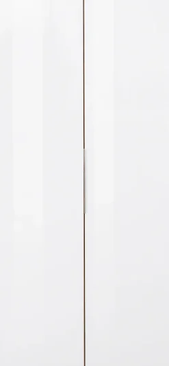 Wimex Kleiderschrank »Level by fresh to go« Türen vollflächig mit farbigem Glas