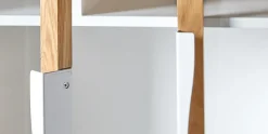 Woodman Bücherregal »Hilla« Breite 88 cm, Türen mit Glaseinsätzen, Holzfurnier aus Eiche, FSC®