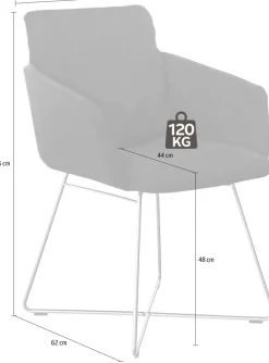 W.SCHILLIG Armlehnstuhl »jakob« () mit Drahtrohrgestell in Silber matt