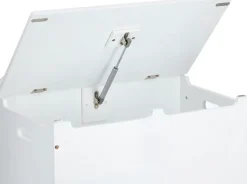 Zeller Present Spielzeugtruhe »Wolke« Wolkendesign